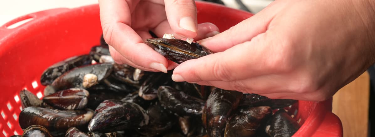 /content/dam/empire/safeway/assets/articles/article-page/cleanMussels.jpg
