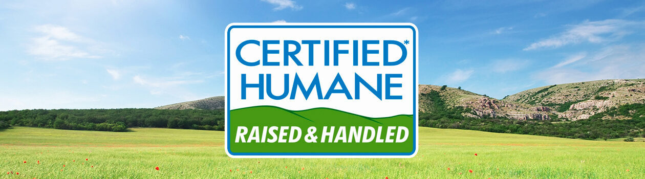 90_Certified_Humanee