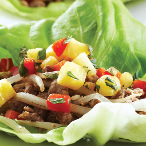 Read more about Ginger Turkey Lettuce Rolls with Pineapple Salsa