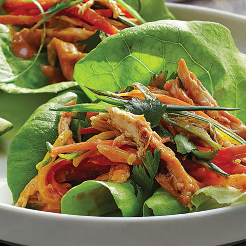 Read more about Thai Chicken Salad Lettuce Wraps