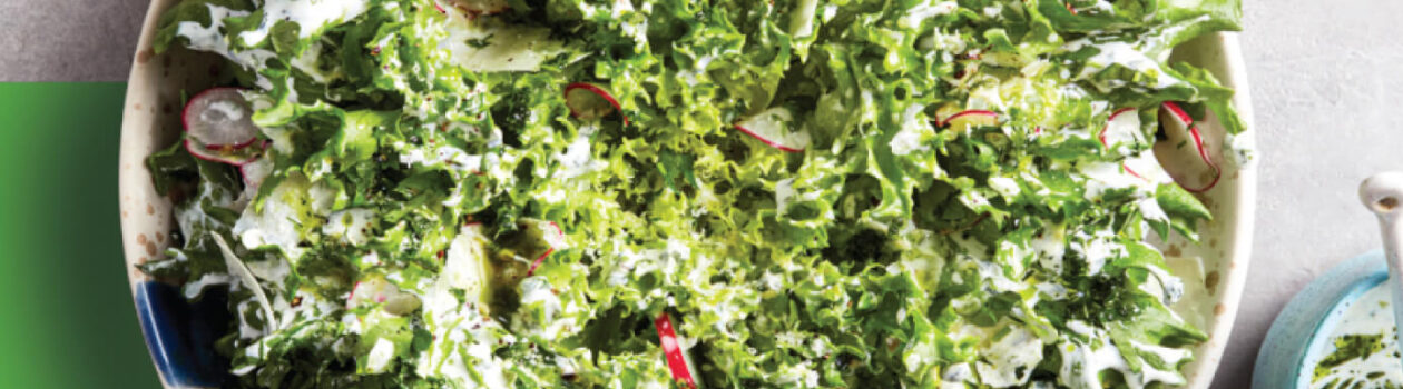 Caravel Lettuce With Herb Dressing