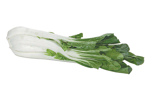 A bunch of bok choy on a white counter.