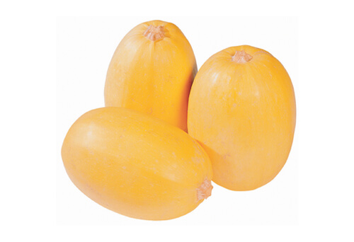 3 spaghetti squashes on a white background.