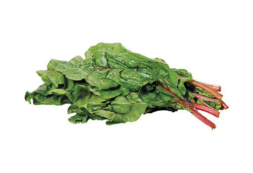 Bunch of red stalked swiss chard on a white background.