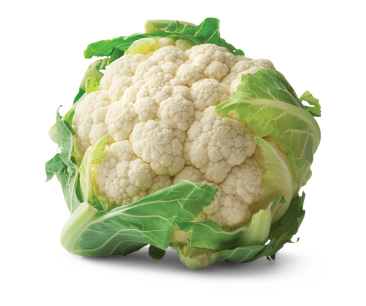 Whole cauliflower on white background