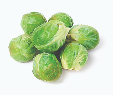 Cluster of Brussels sprouts with water drops on them