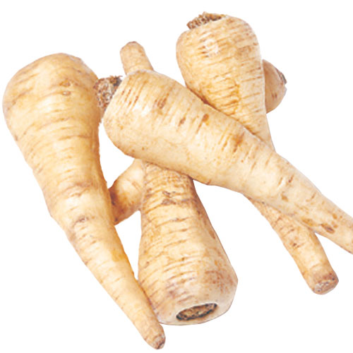 Full parsnips in a group on a white background