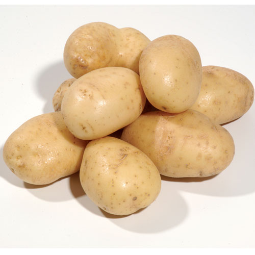 white potatoes in pile on white background