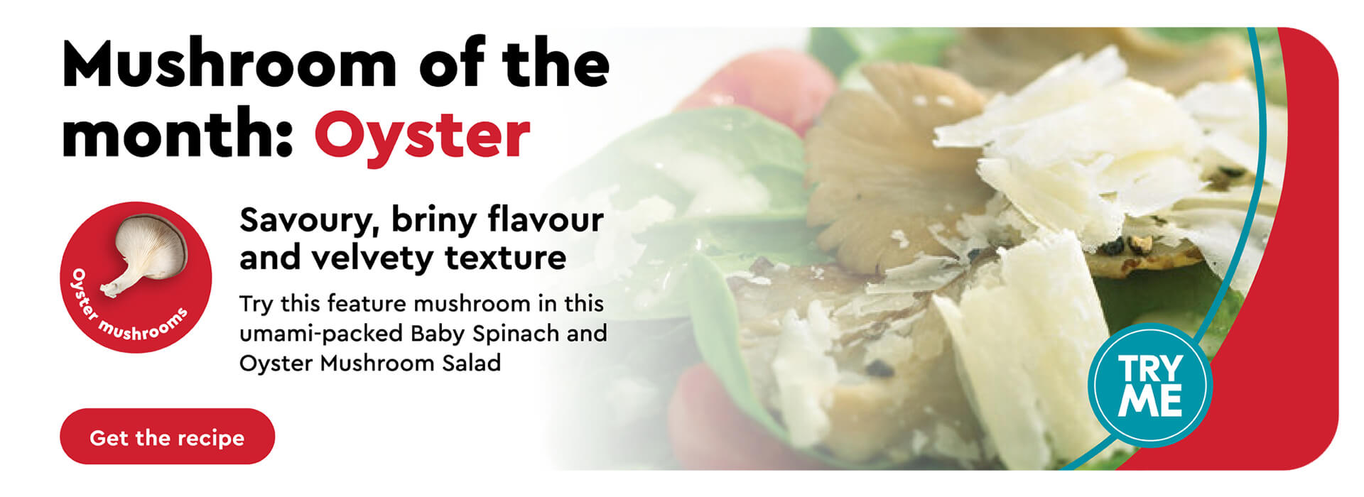 Baby spinach and oyster mushroom salad