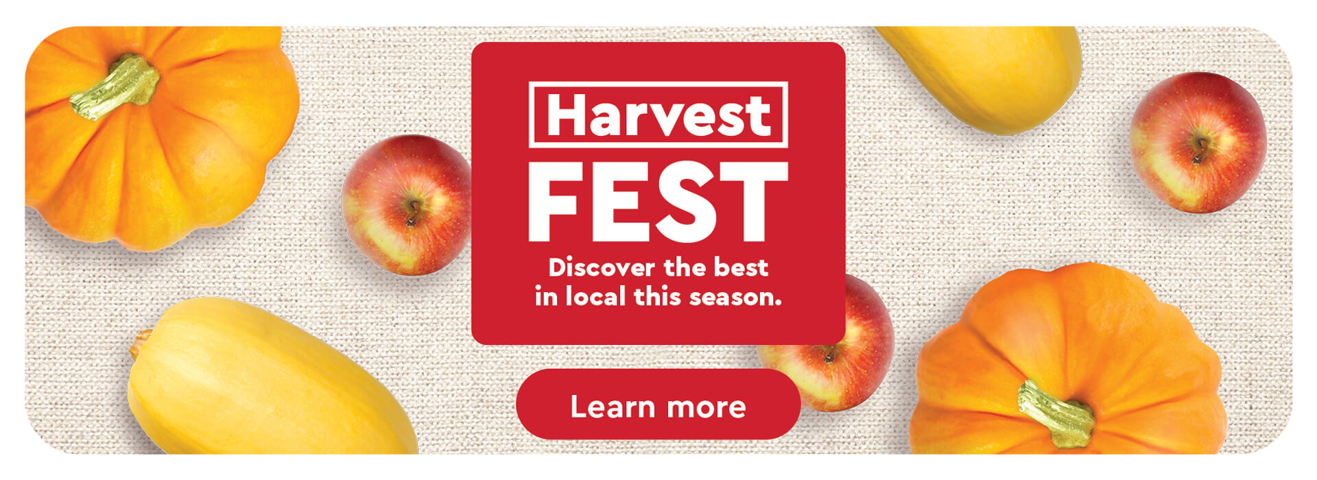 Harvest Fest, Discover the best in local this season.
